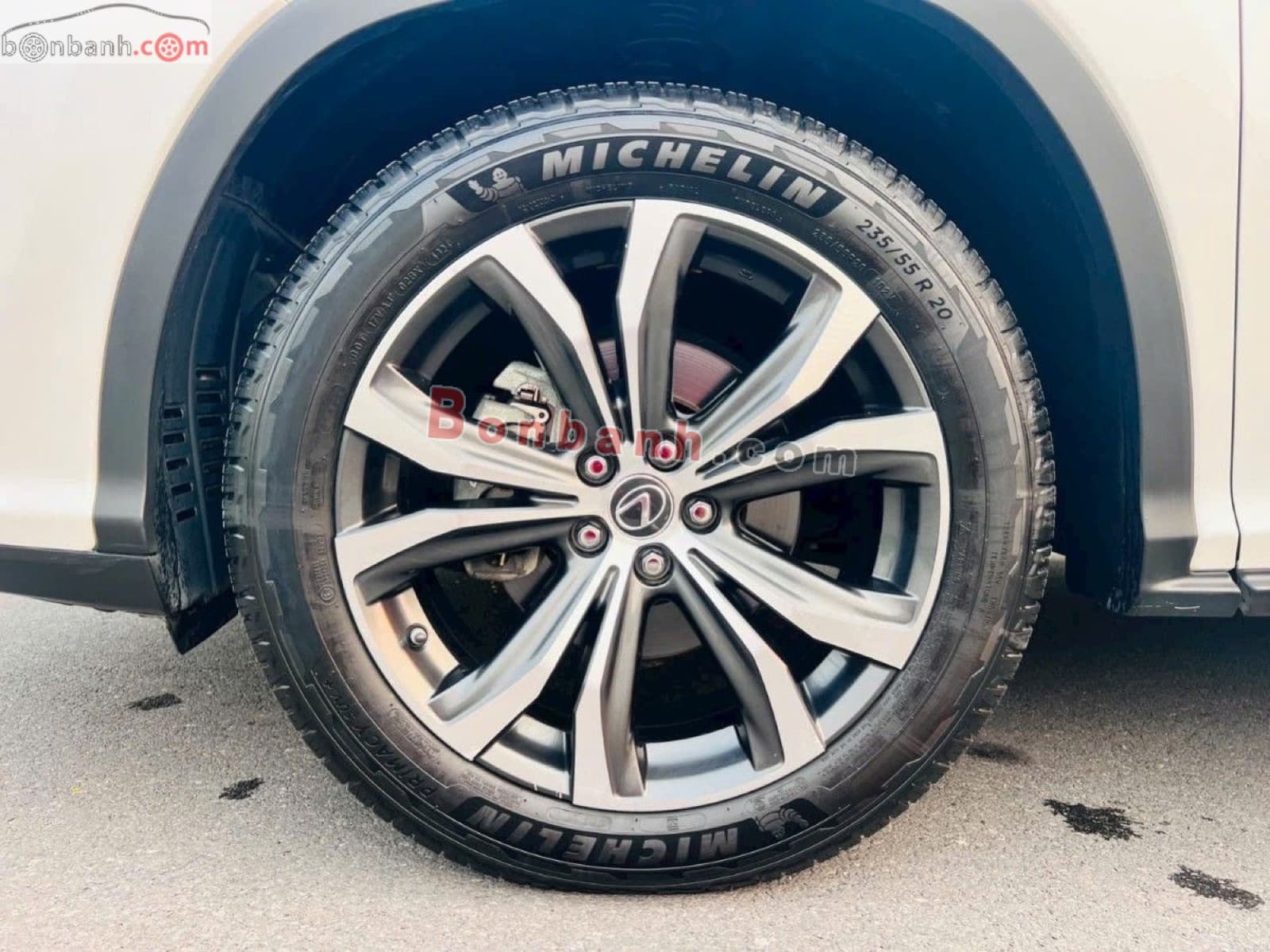 2019 Lexus RX 300 - ảnh nhỏ 6