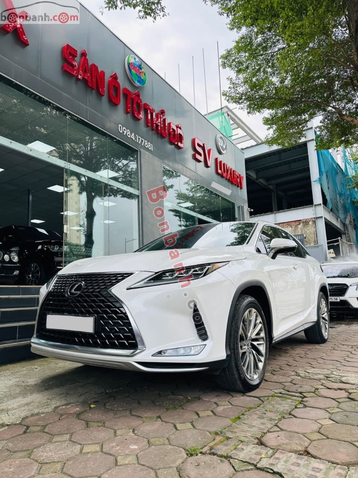 2021 Lexus RX 300