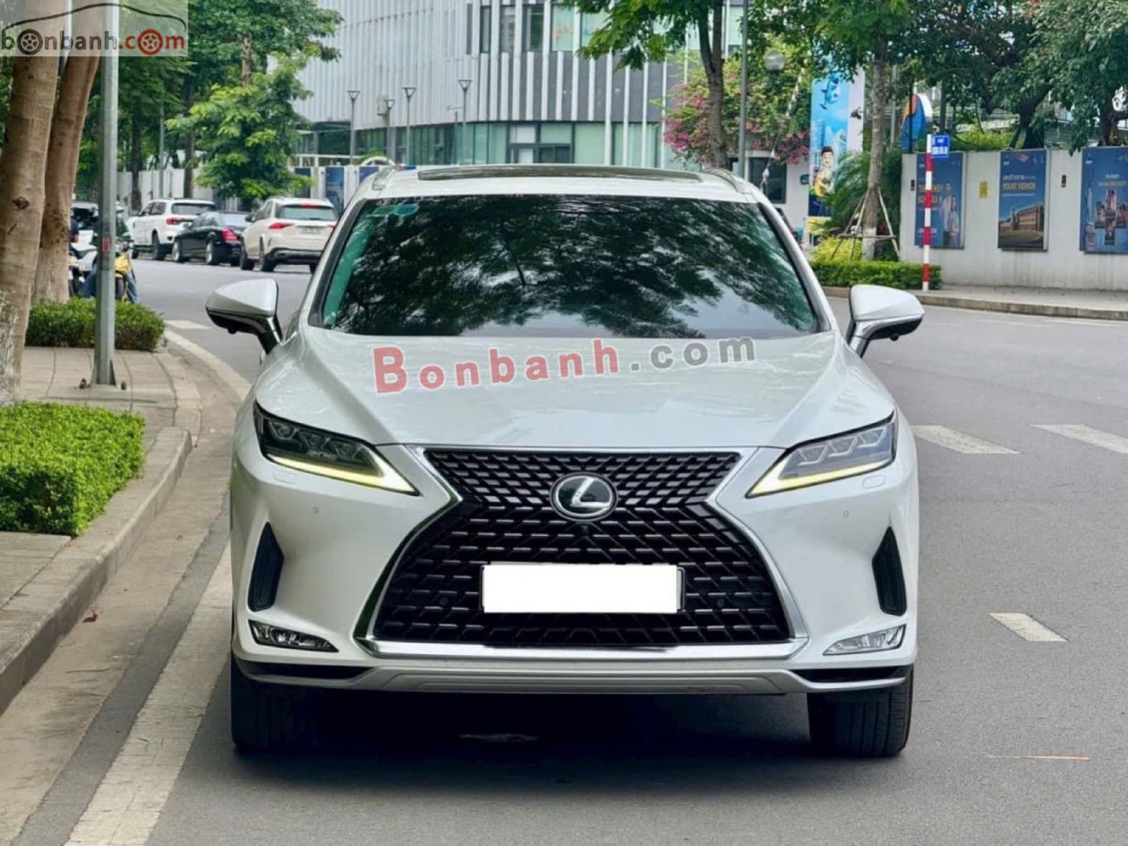 2021 Lexus RX 300
