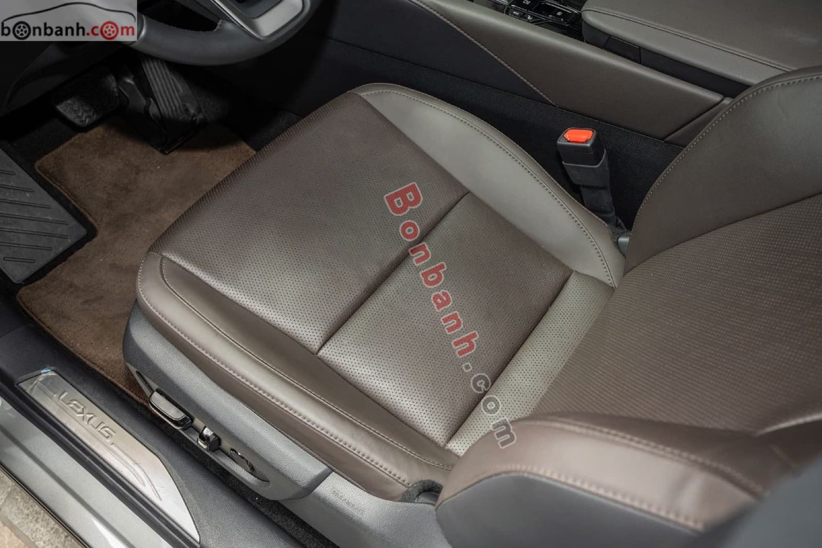 2024 Lexus RX 350 Premium - ảnh nhỏ 7