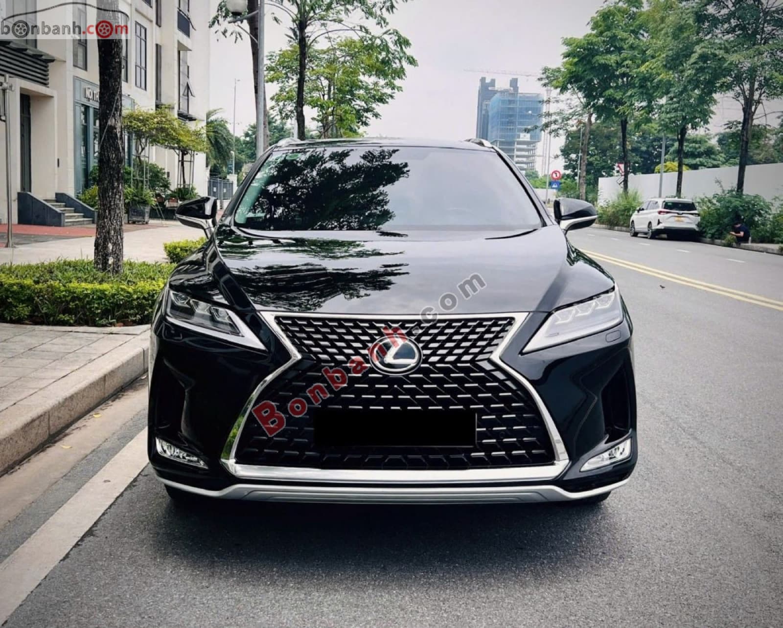 2021 Lexus RX 300