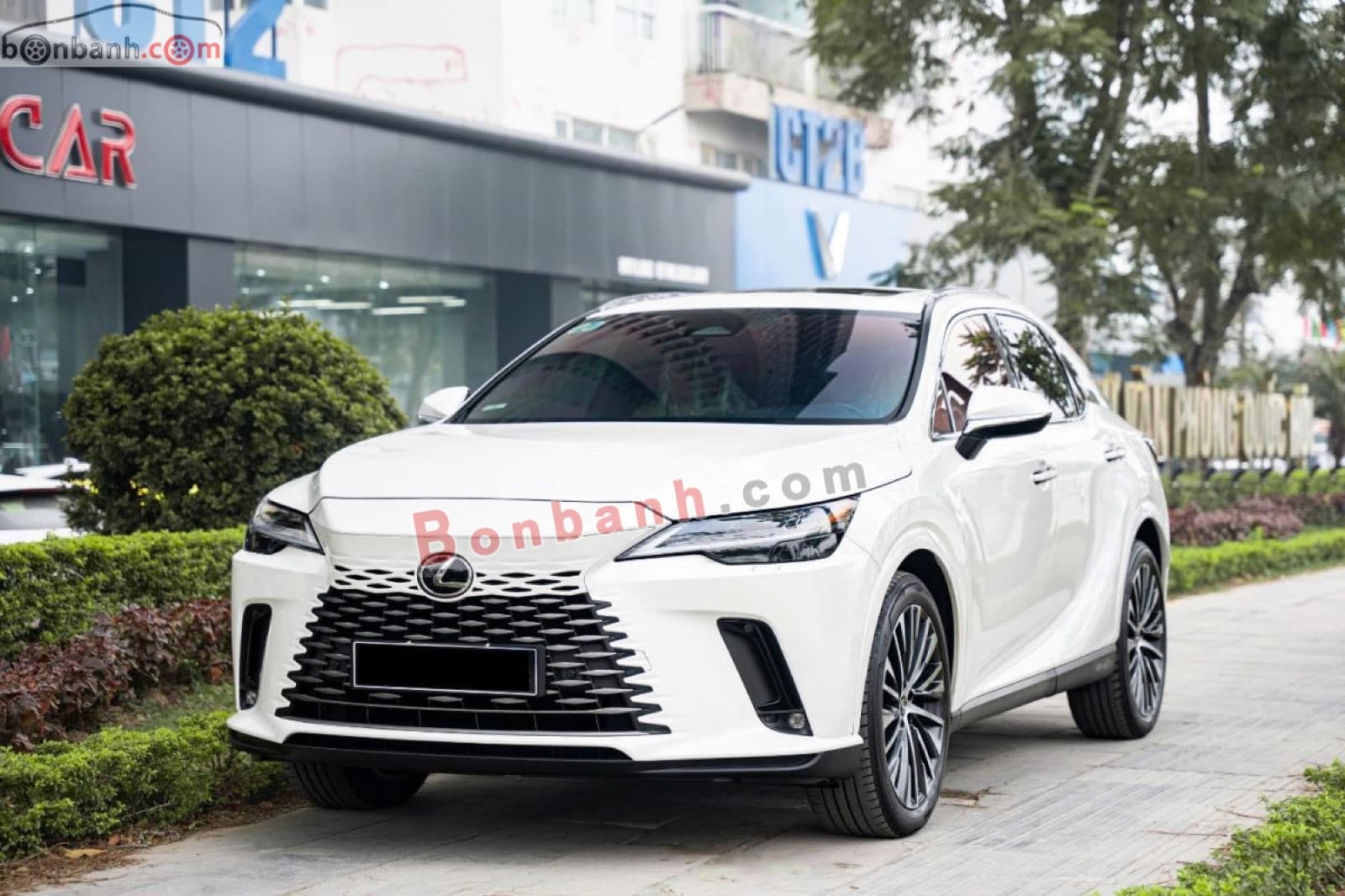 2024 Lexus RX 350 Premium