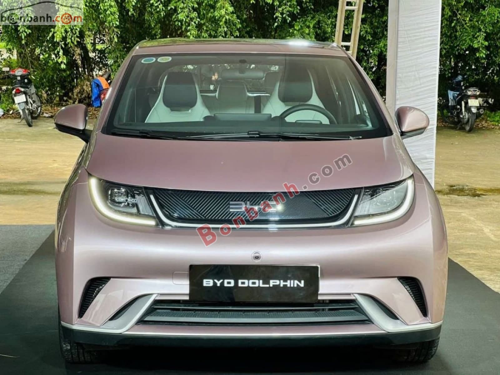 2026 BYD Dolphin GLX - ảnh nhỏ 2