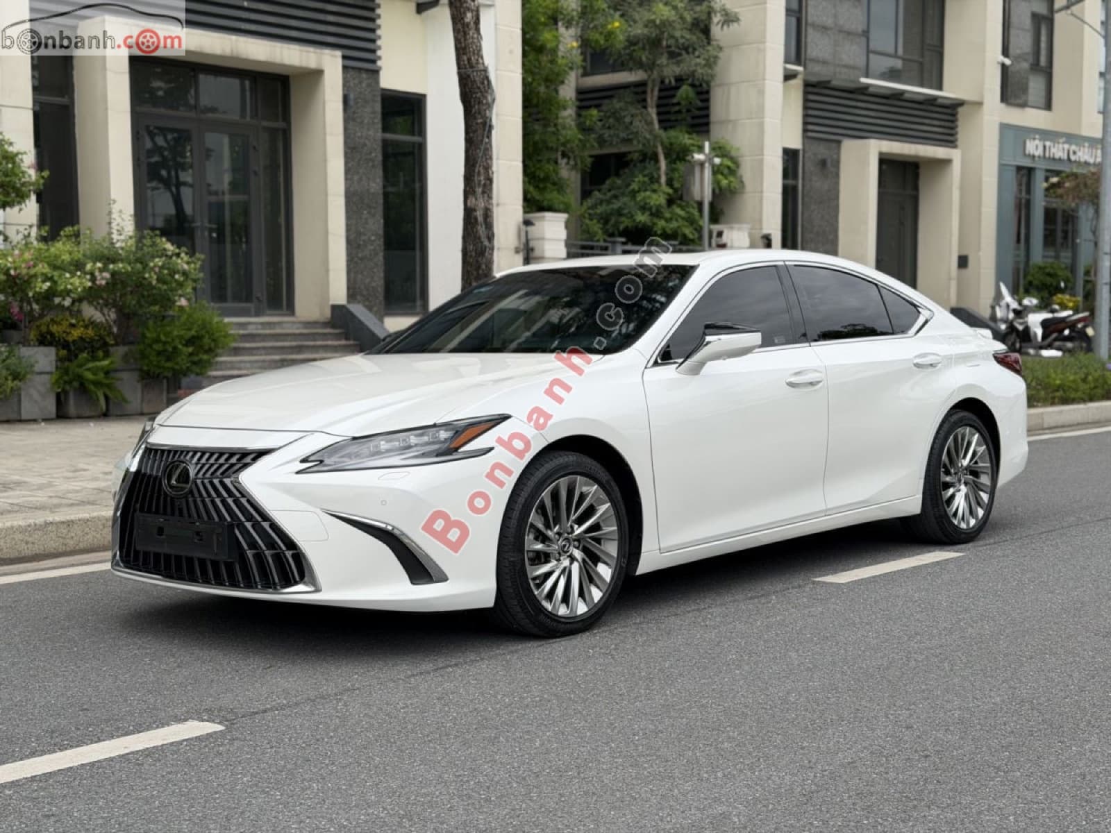 2023 Lexus ES 300h - ảnh nhỏ 2