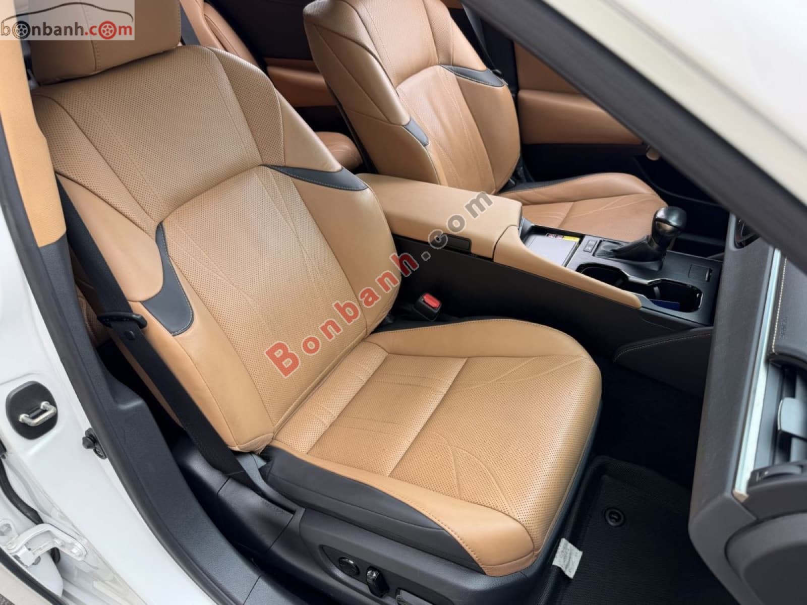 2023 Lexus ES 300h - ảnh nhỏ 10