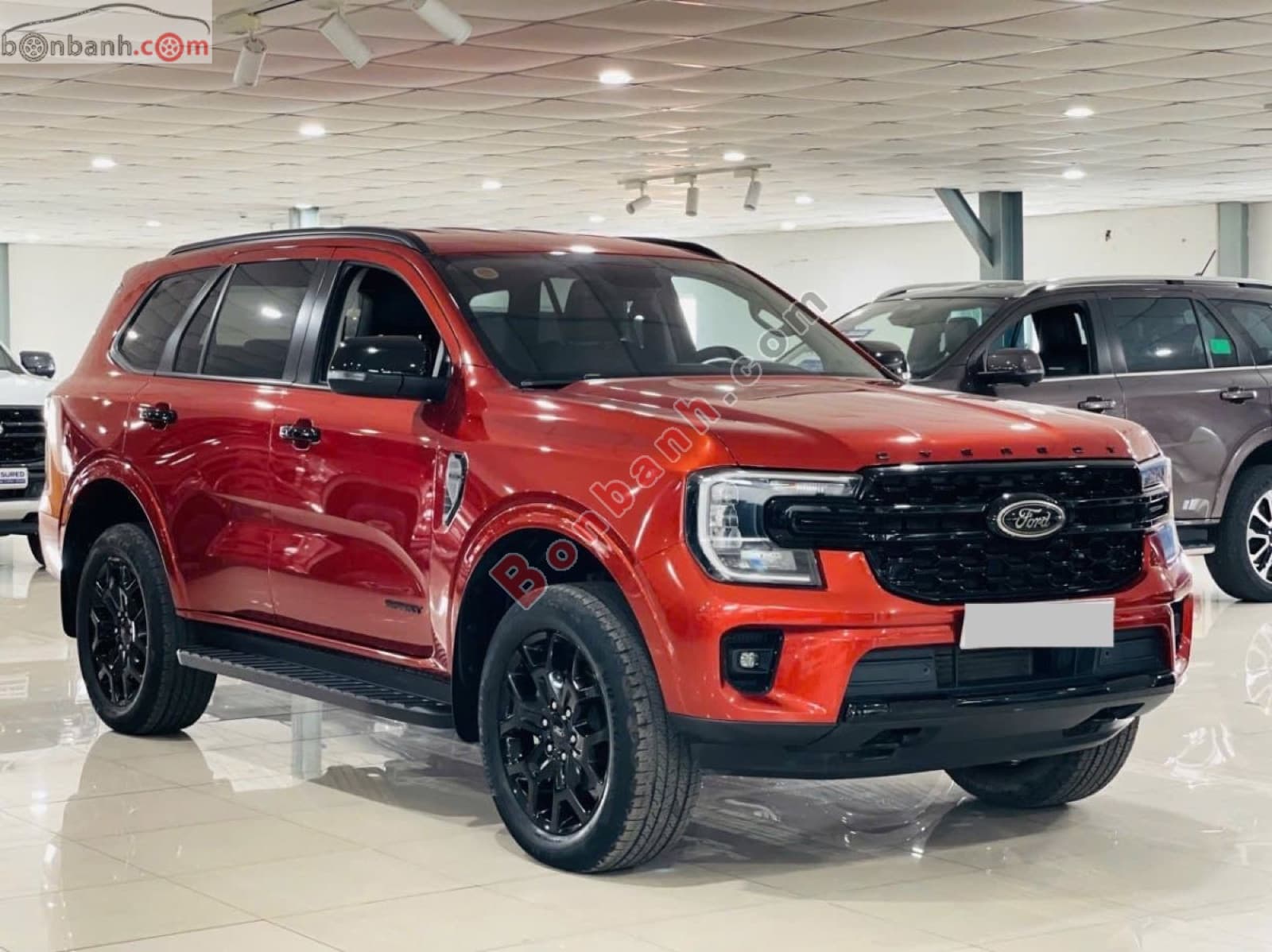 2023 Ford Everest Sport 2.0L 4x2 AT - ảnh nhỏ 3