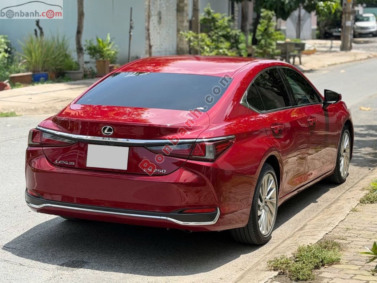 2021 Lexus ES 250 - ảnh nhỏ 2