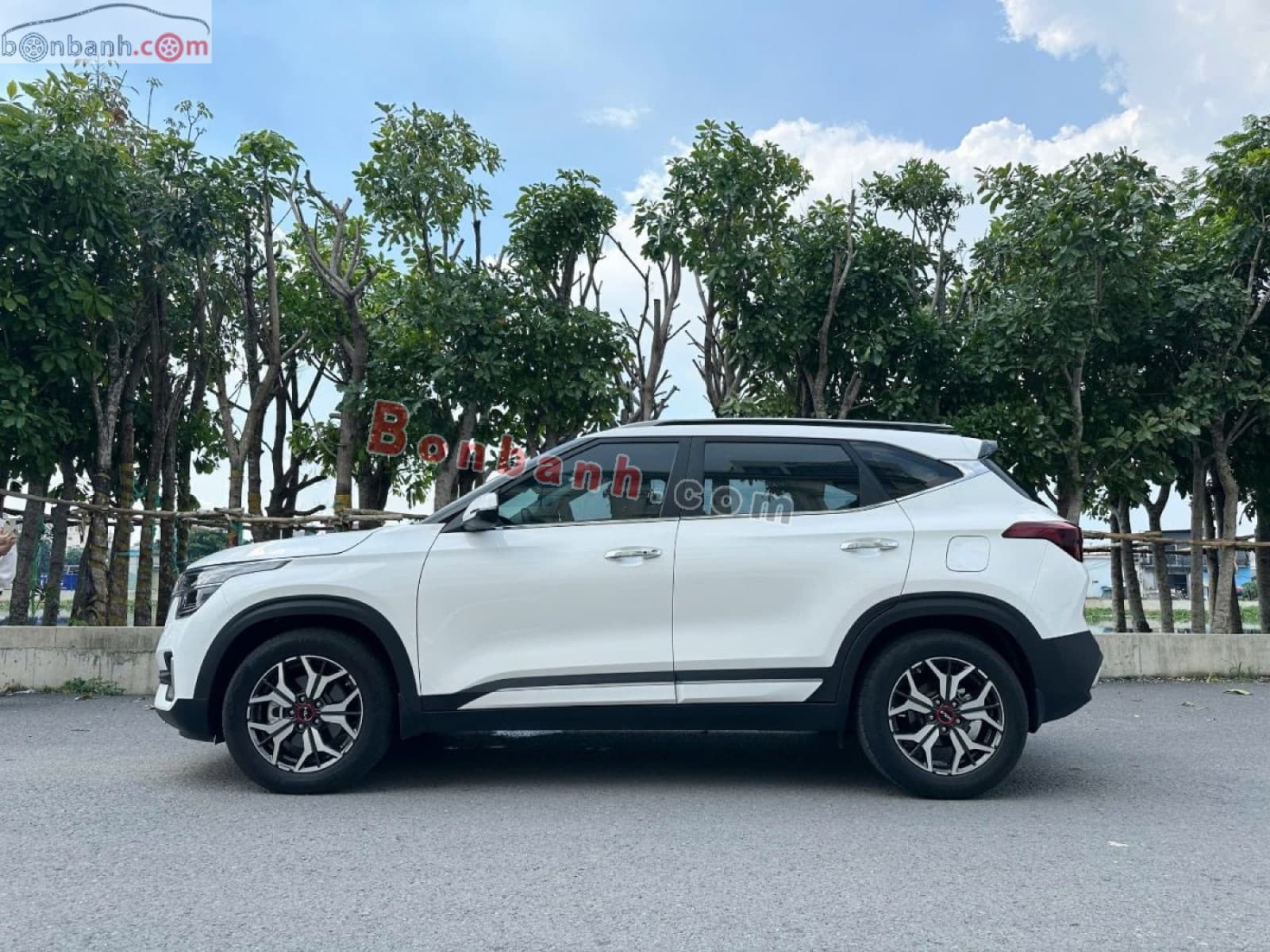 2022 Kia Seltos Premium 1.4 AT - ảnh nhỏ 5