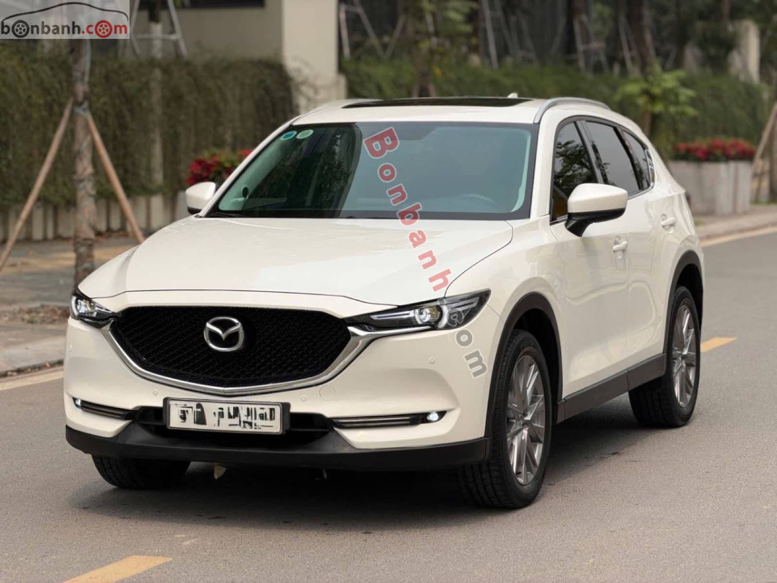 2020 Mazda CX5 2.0 Luxury - ảnh nhỏ 3