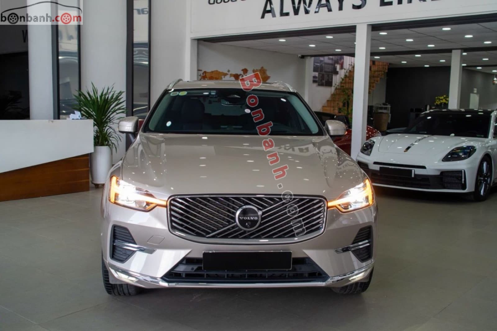 2025 Volvo XC60 Ultra B5 AWD - ảnh nhỏ 2