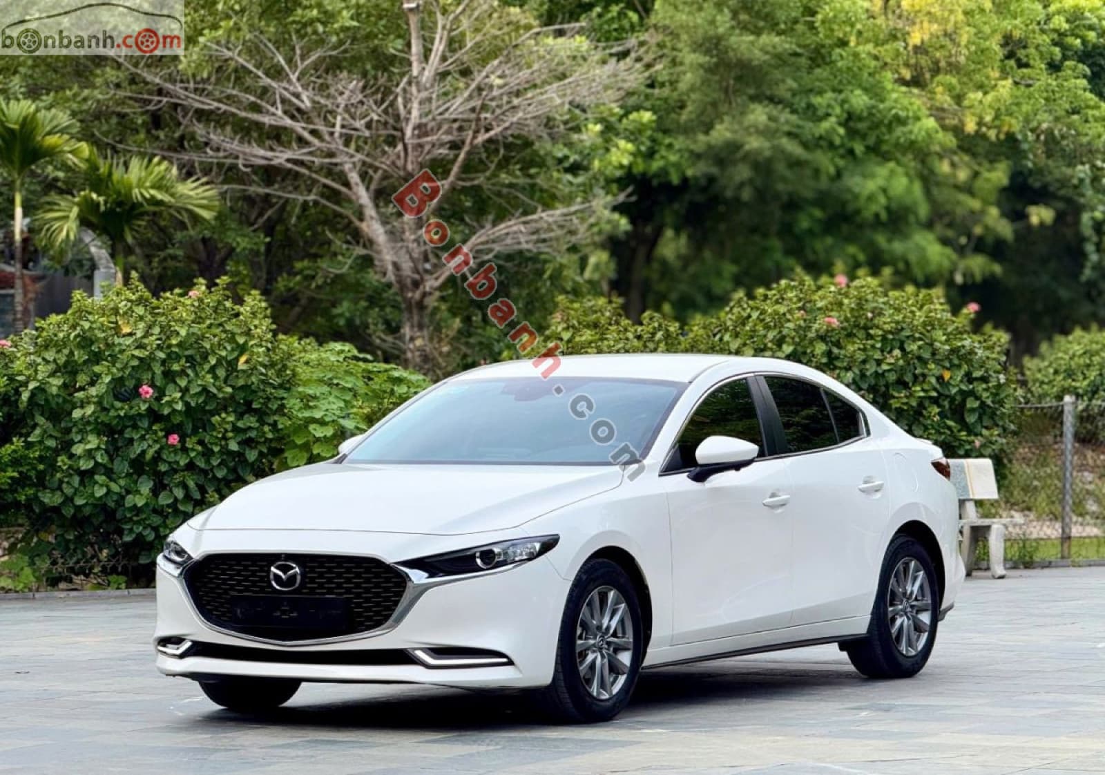 2024 Mazda 3 1.5L Luxury - ảnh nhỏ 2