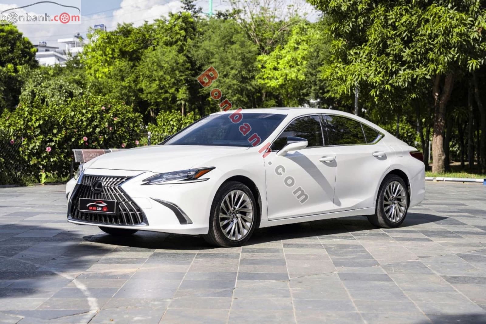 2022 Lexus ES 250
