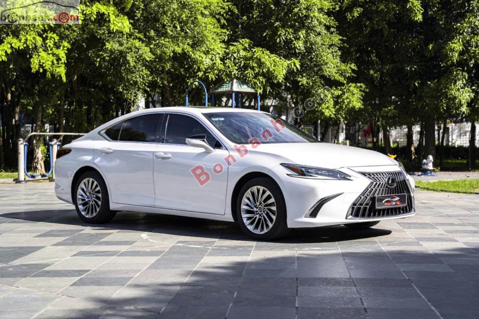 2022 Lexus ES 250 - ảnh nhỏ 2