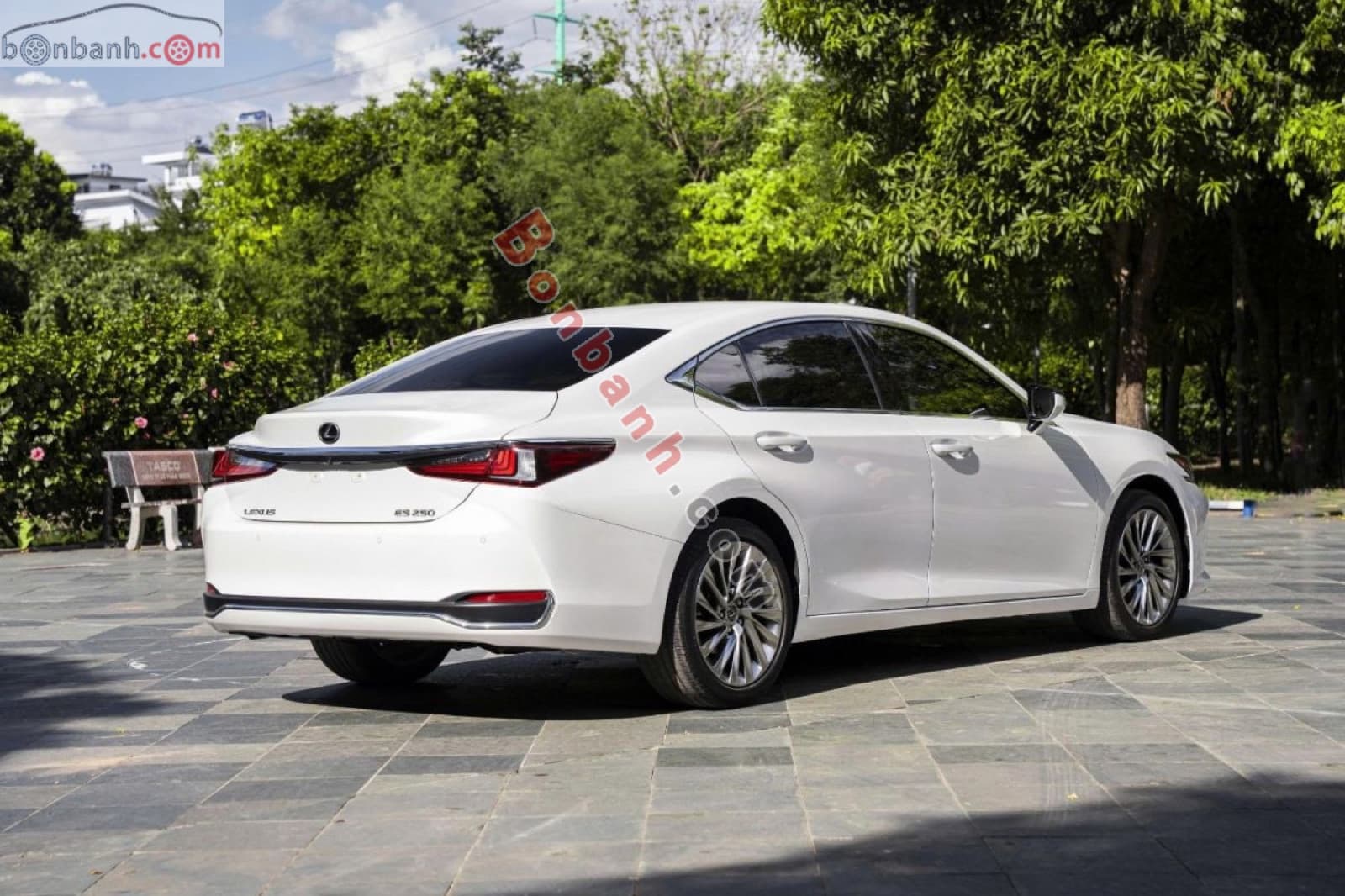 2022 Lexus ES 250 - ảnh nhỏ 3
