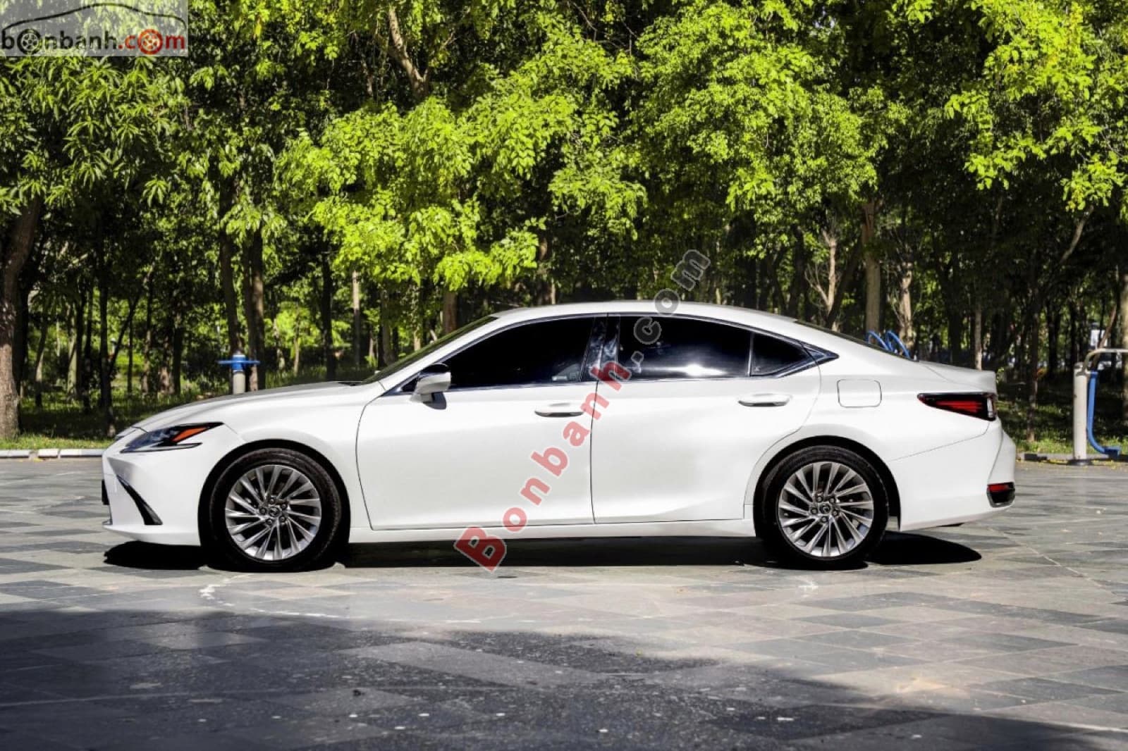 2022 Lexus ES 250 - ảnh nhỏ 5