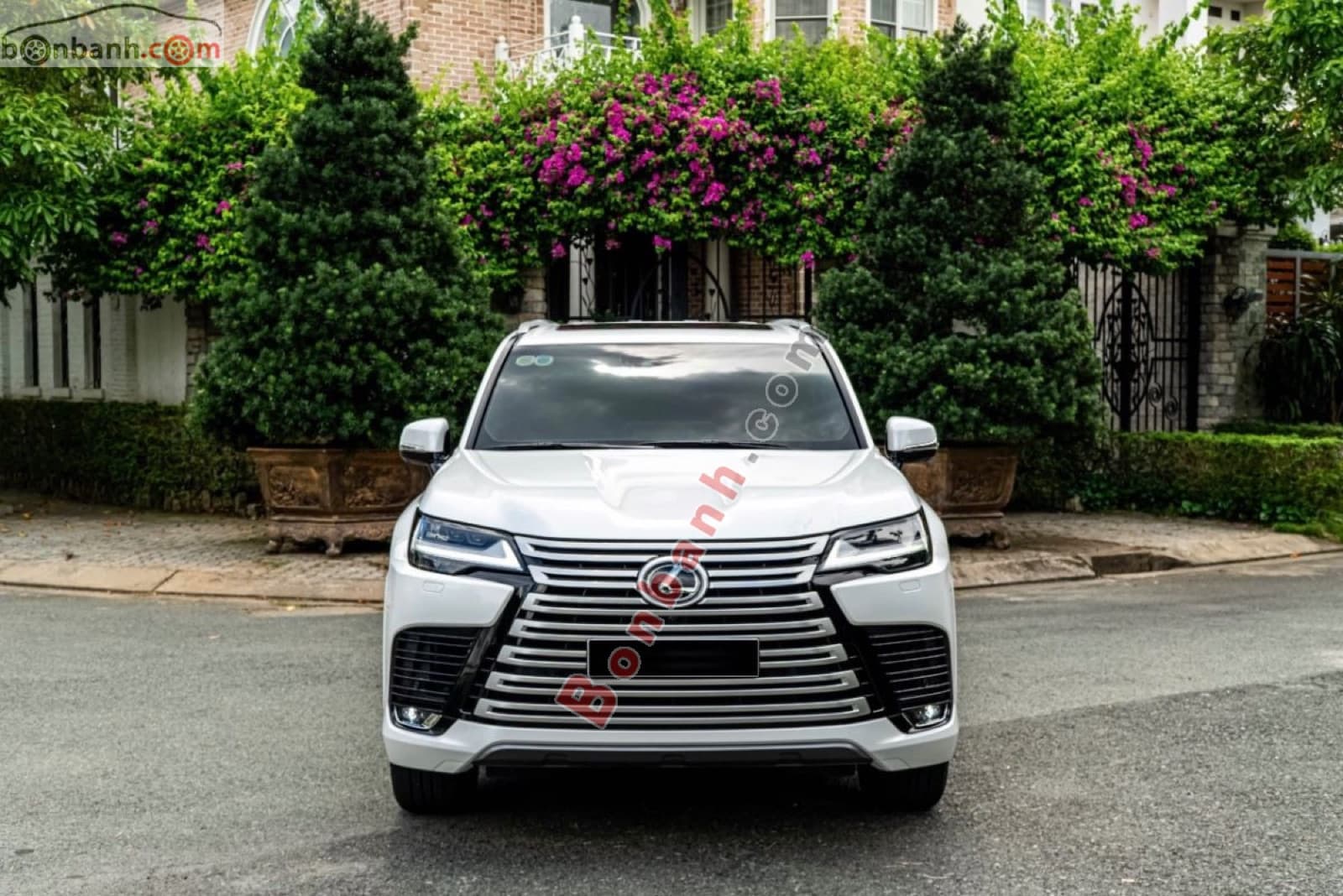 2024 Lexus LX 600 Urban - ảnh nhỏ 2