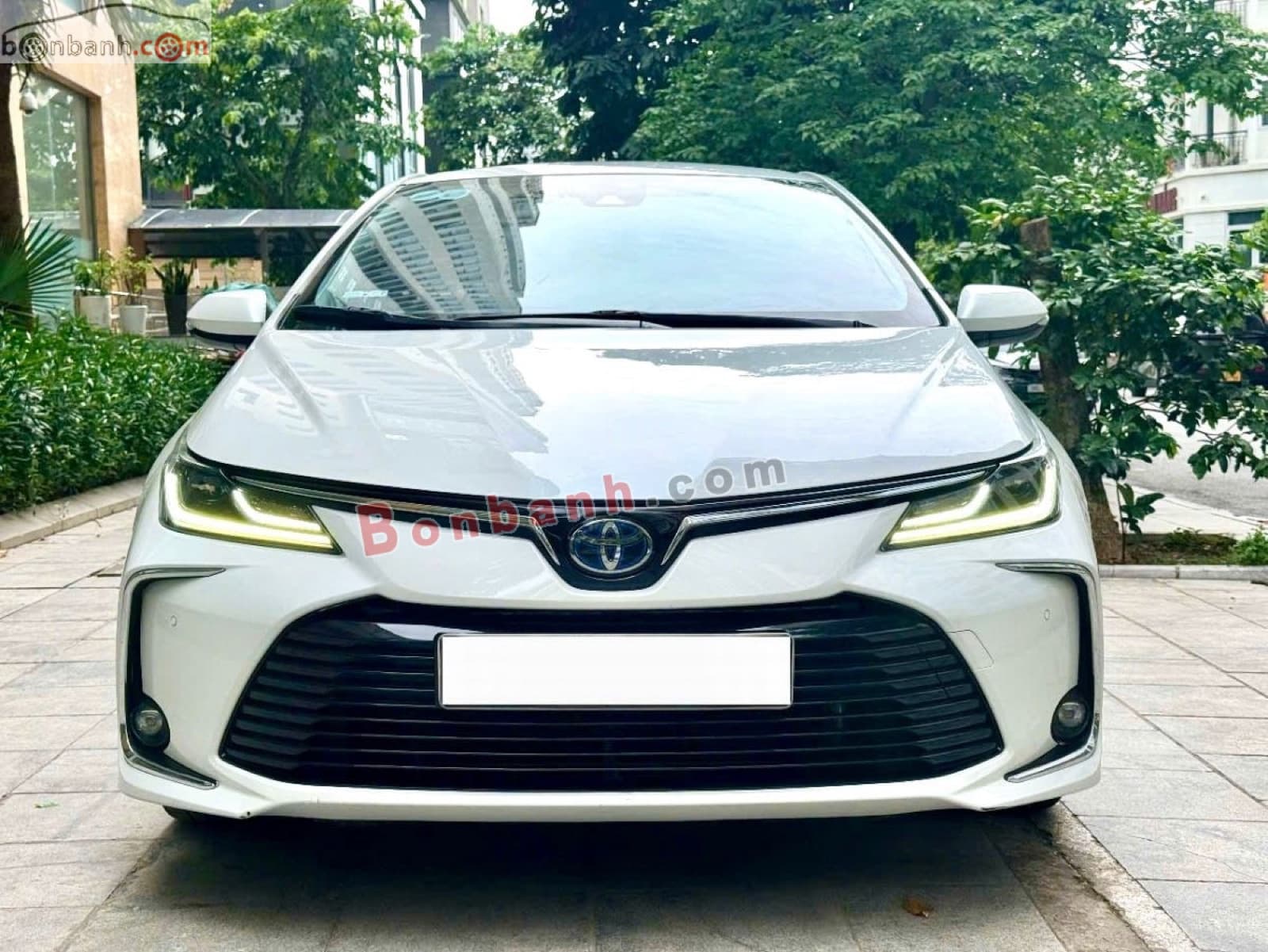 2022 Toyota Corolla altis 1.8HEV