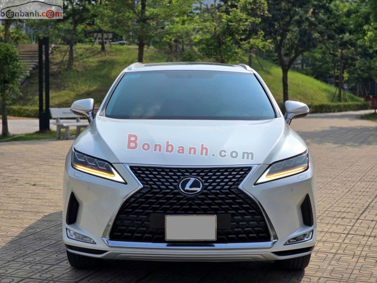 2022 Lexus RX 300