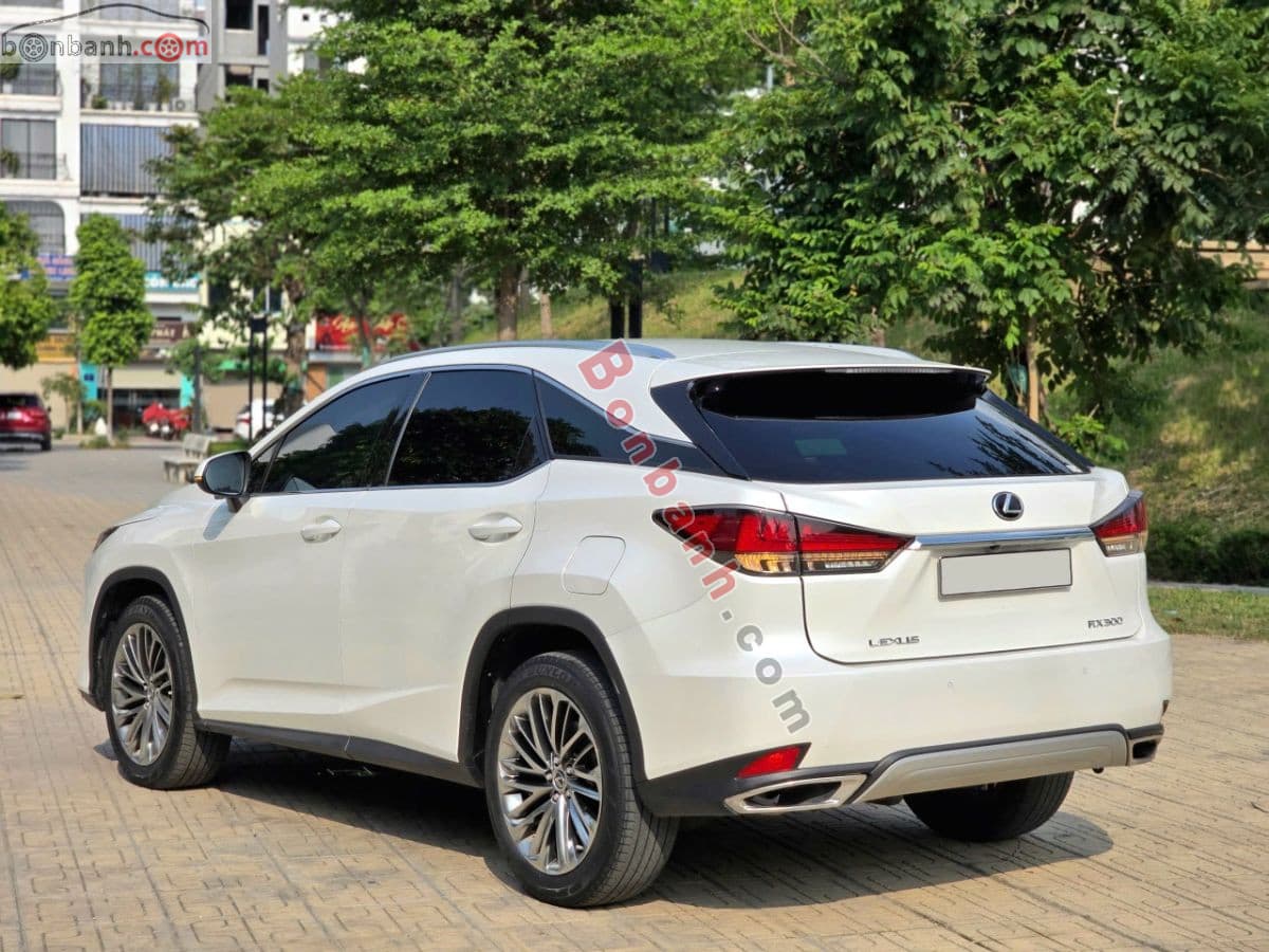 2022 Lexus RX 300 - ảnh nhỏ 4