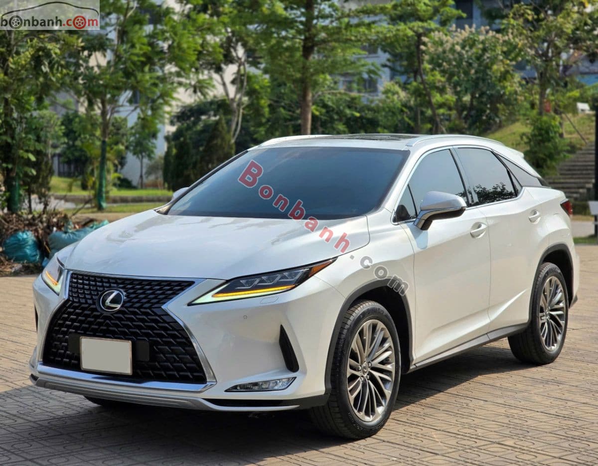 2022 Lexus RX 300 - ảnh nhỏ 3