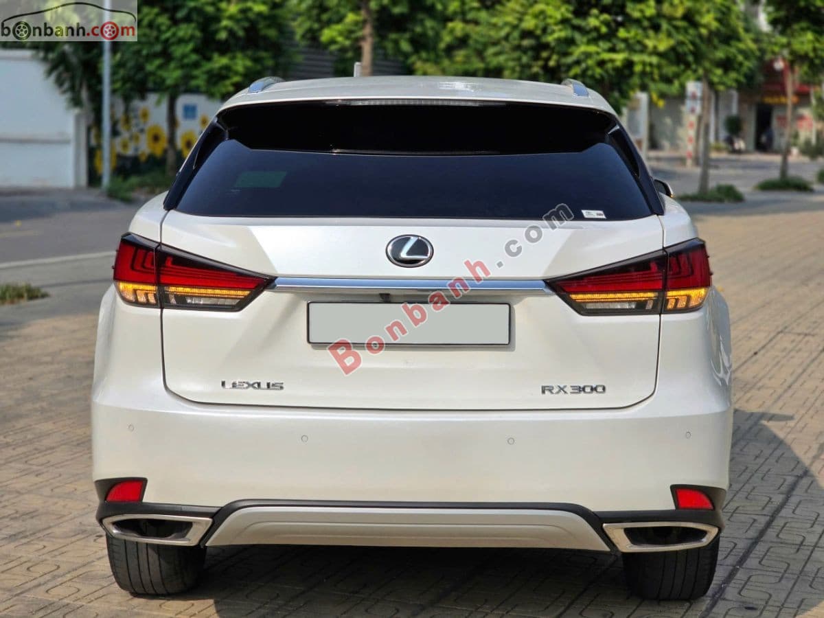 2022 Lexus RX 300 - ảnh nhỏ 5