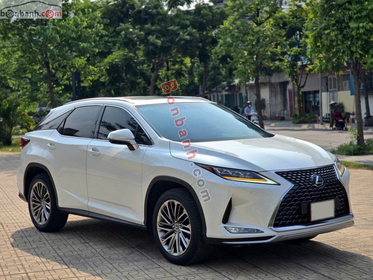 2022 Lexus RX 300 - ảnh nhỏ 2