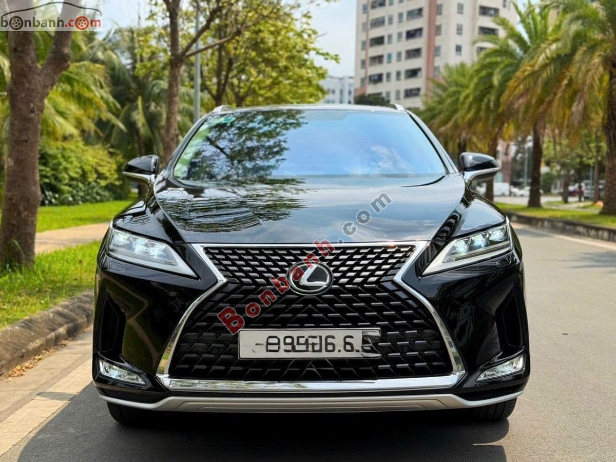 2019 Lexus RX 300