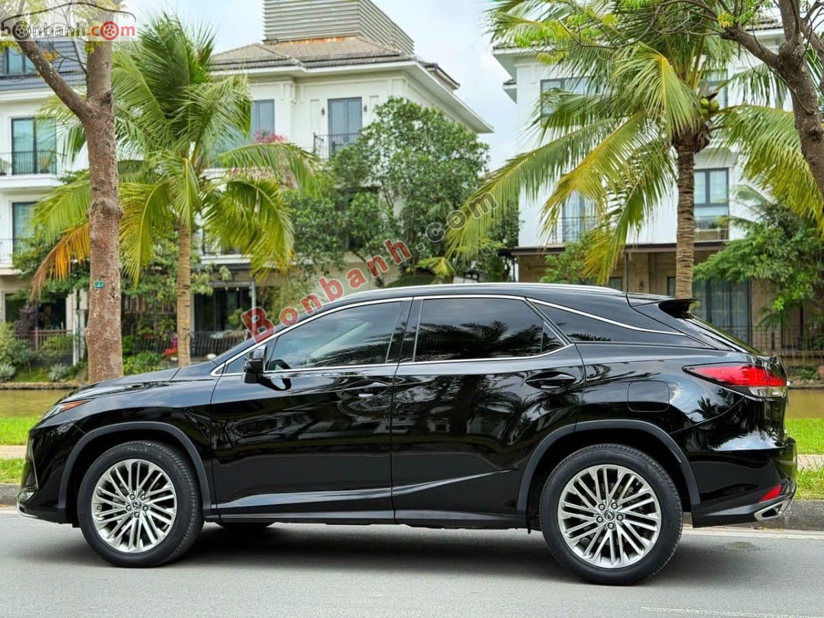 2019 Lexus RX 300 - ảnh nhỏ 3