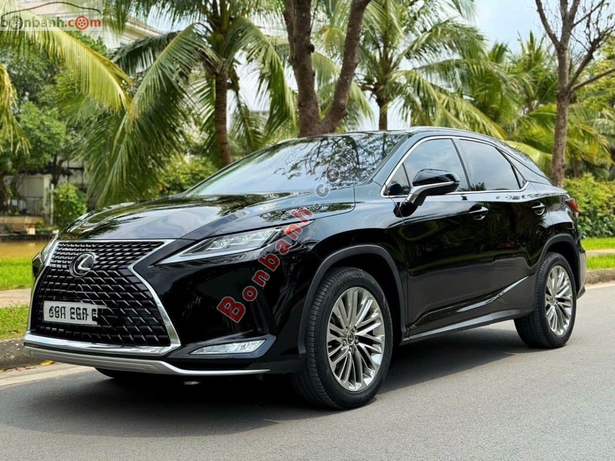 2019 Lexus RX 300 - ảnh nhỏ 2