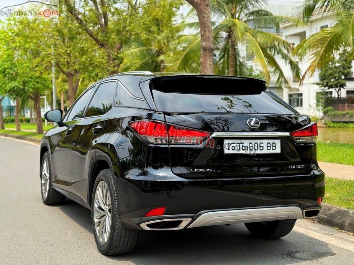 2019 Lexus RX 300 - ảnh nhỏ 4