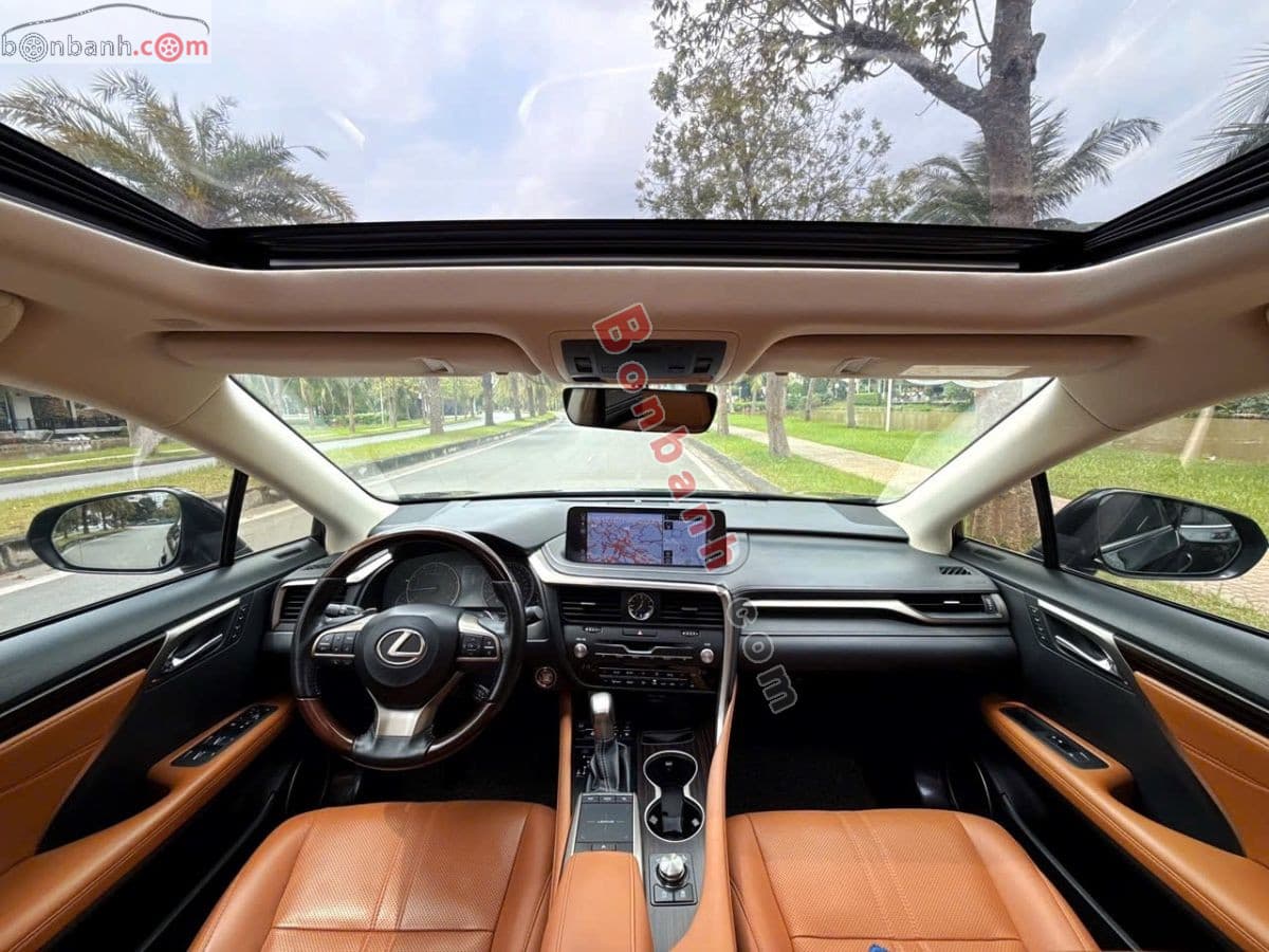 2019 Lexus RX 300 - ảnh nhỏ 8