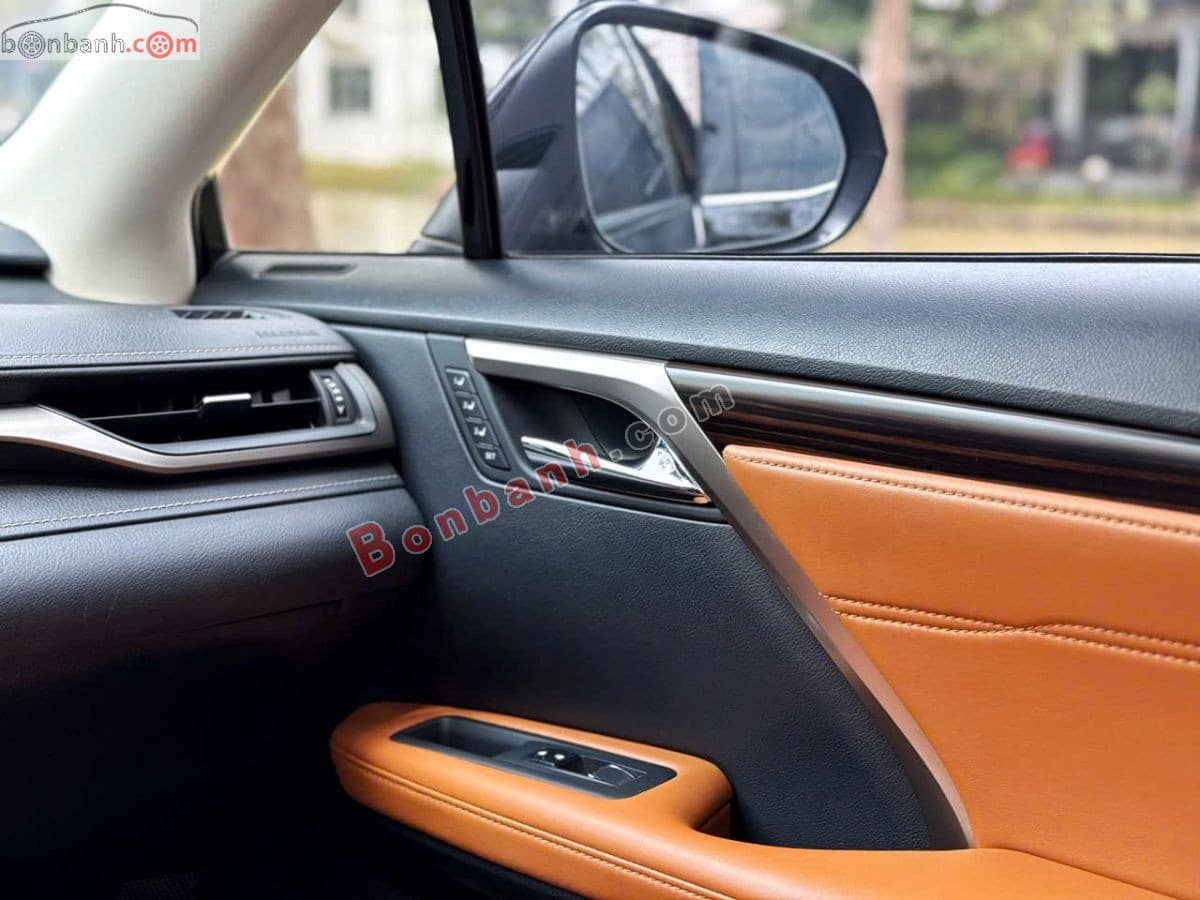 2019 Lexus RX 300 - ảnh nhỏ 10