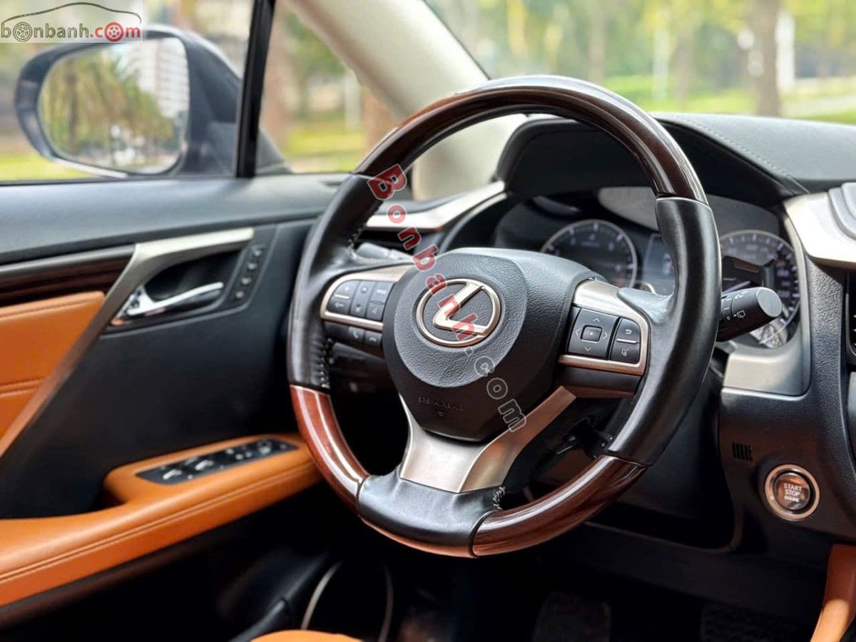 2019 Lexus RX 300 - ảnh nhỏ 6