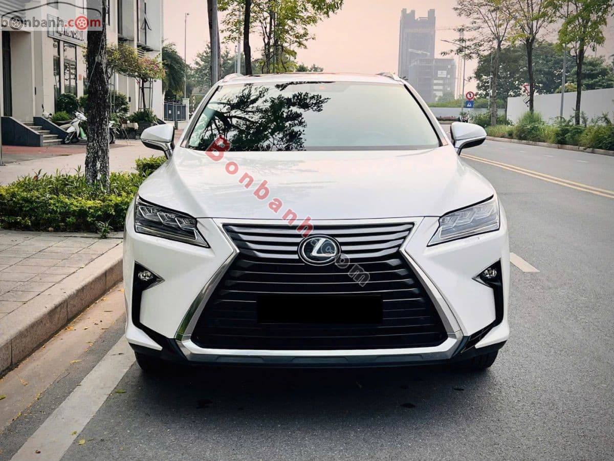 2019 Lexus RX 300