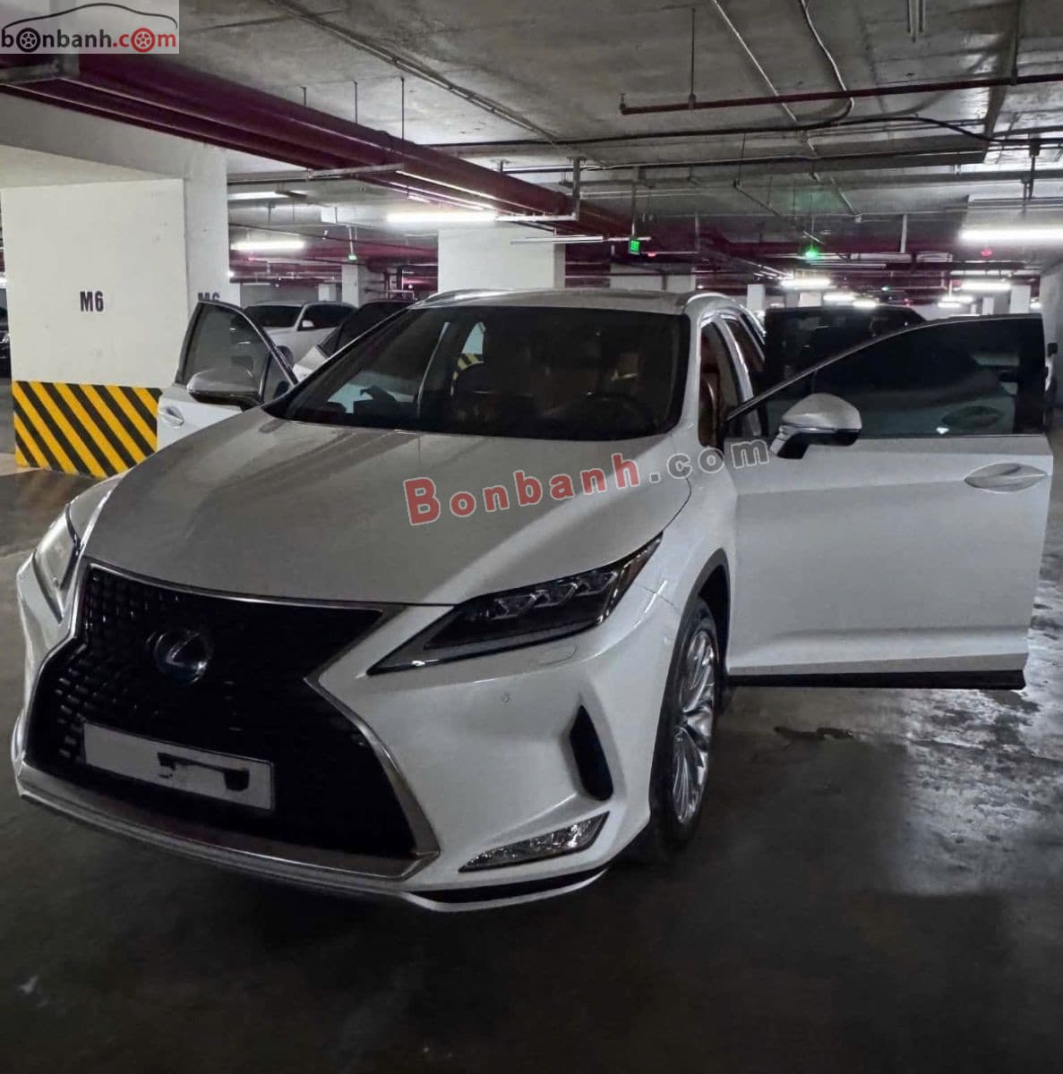 2019 Lexus RX 450h