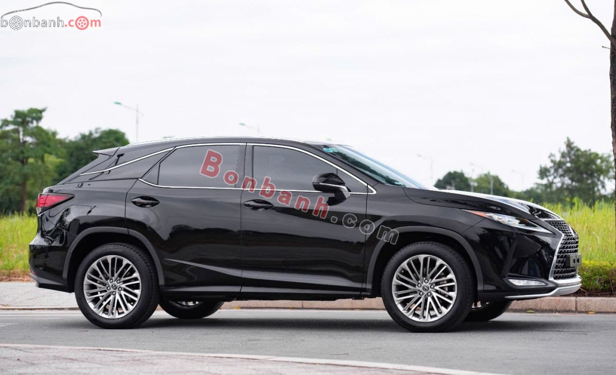 2019 Lexus RX 300 - ảnh nhỏ 4