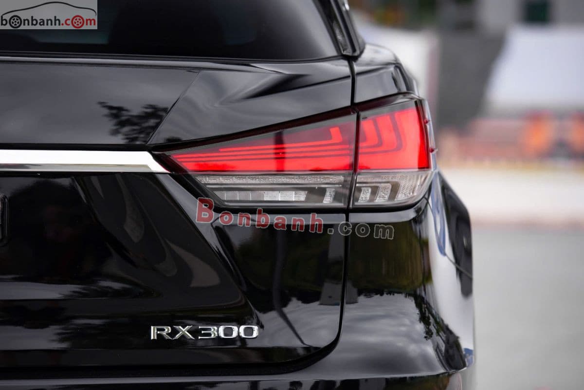 2019 Lexus RX 300 - ảnh nhỏ 6
