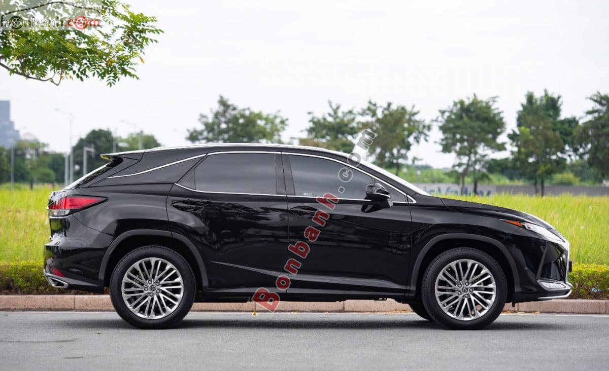 2019 Lexus RX 300 - ảnh nhỏ 5