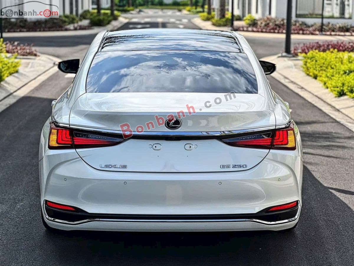 2020 Lexus ES 250 - ảnh nhỏ 4