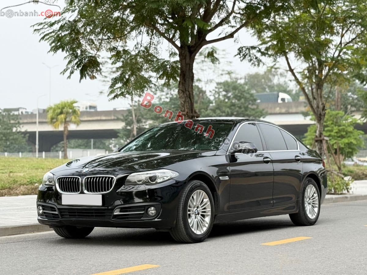 2014 BMW 5 Series 520i