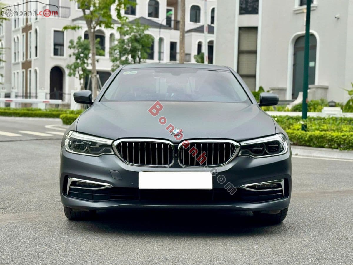 2019 BMW 5 Series 530i Luxury Line