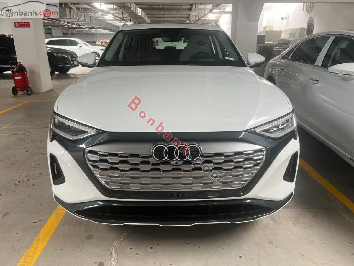2025 Audi Q8 E-tron 55 Quattro Advanced