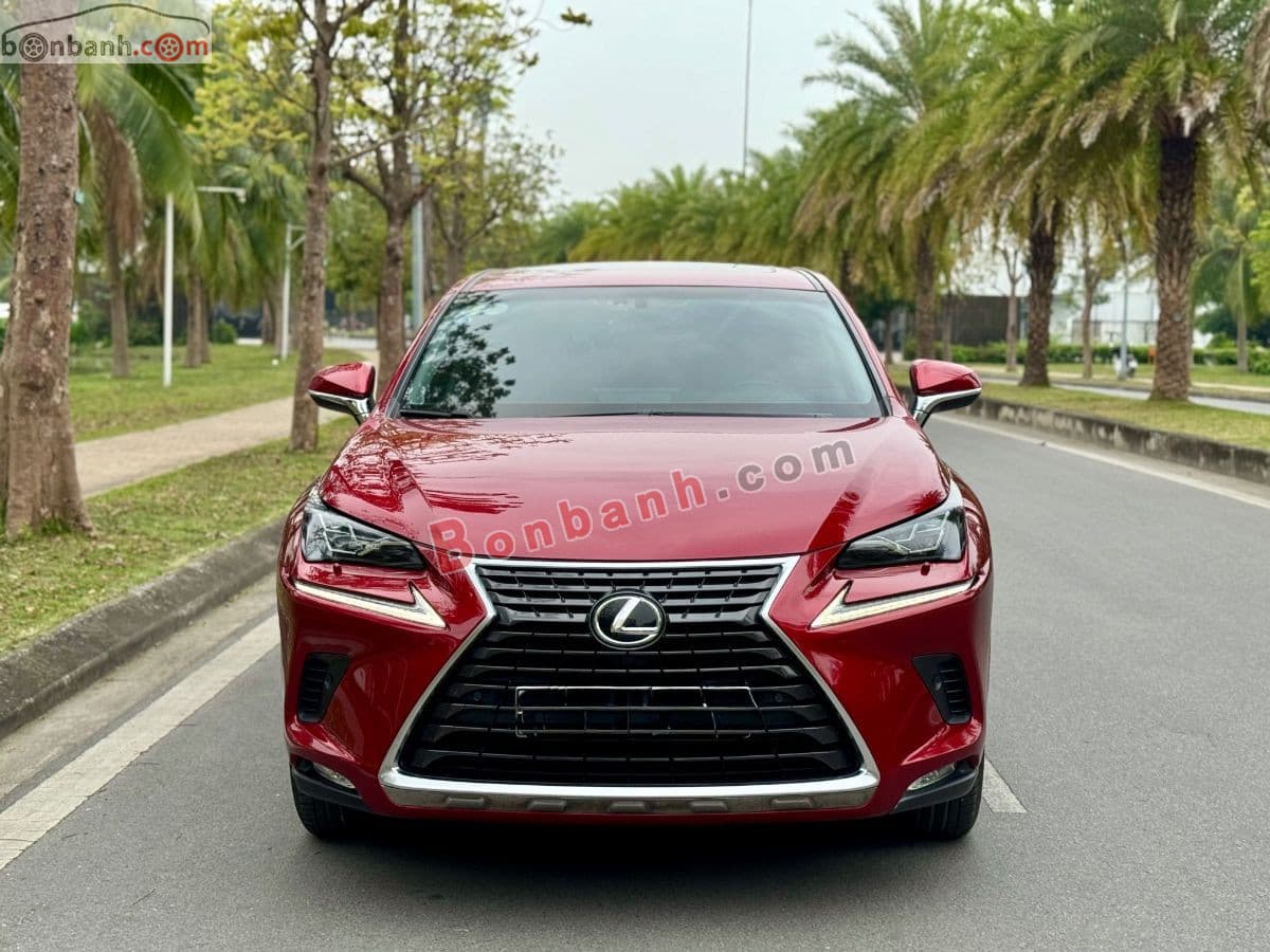 2019 Lexus NX 300