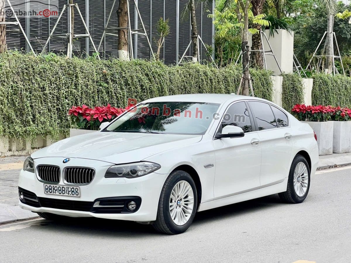 2015 BMW 5 Series 520i - ảnh nhỏ 2