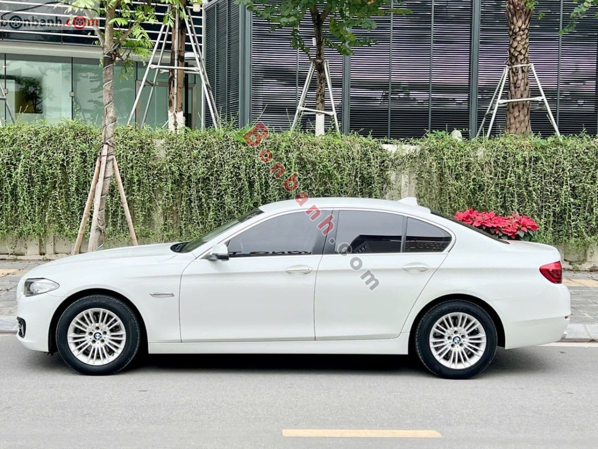 2015 BMW 5 Series 520i - ảnh nhỏ 3