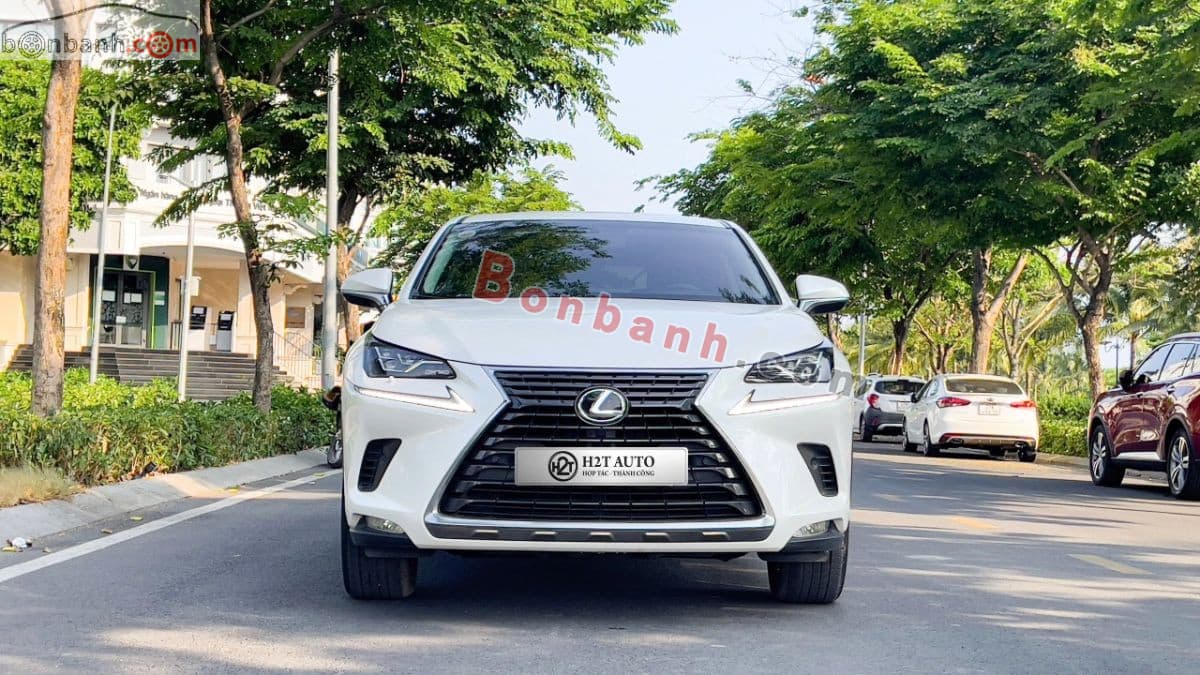 2019 Lexus NX 300