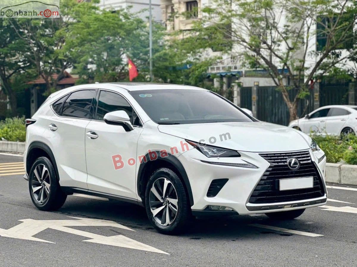 2018 Lexus NX 300 - Image 1