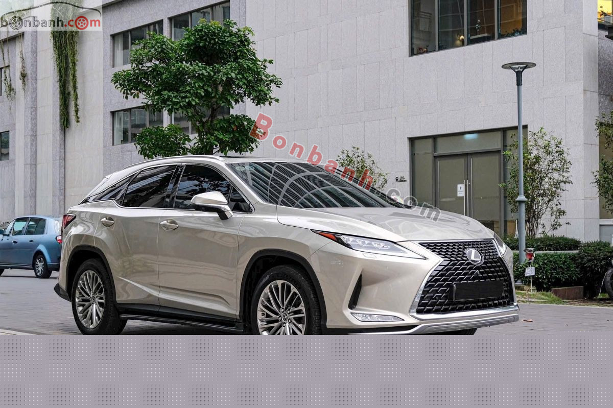 2021 Lexus RX 300