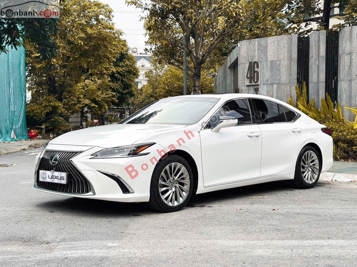 2019 Lexus ES 250