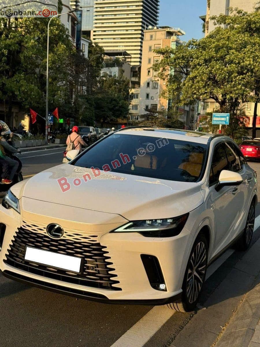 2024 Lexus RX 350 Premium